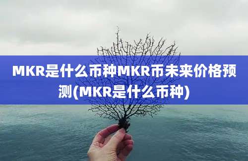 MKR是什么币种MKR币未来价格预测(MKR是什么币种)