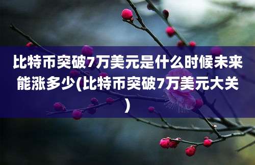 比特币突破7万美元是什么时候未来能涨多少(比特币突破7万美元大关)