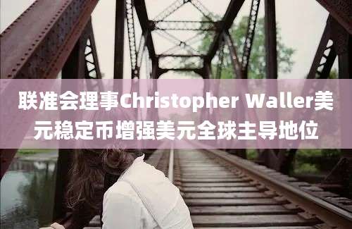 联准会理事Christopher Waller美元稳定币增强美元全球主导地位