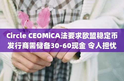 Circle CEOMiCA法要求欧盟稳定币发行商需储备30-60现金 令人担忧