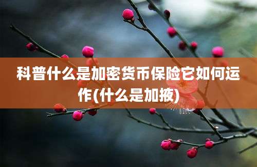 科普什么是加密货币保险它如何运作(什么是加掖)