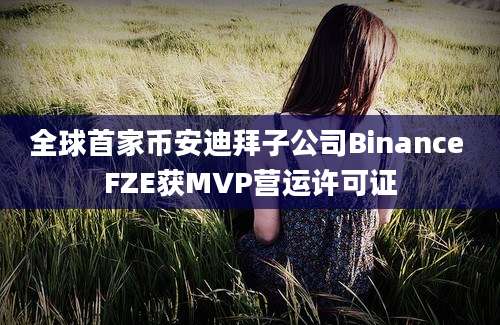 全球首家币安迪拜子公司Binance FZE获MVP营运许可证