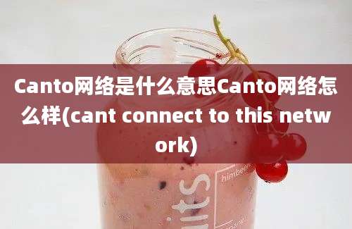 Canto网络是什么意思Canto网络怎么样(cant connect to this network)