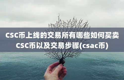 CSC币上线的交易所有哪些如何买卖CSC币以及交易步骤(csac币)