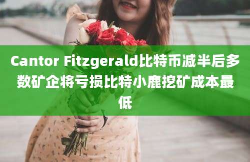 Cantor Fitzgerald比特币减半后多数矿企将亏损比特小鹿挖矿成本最低