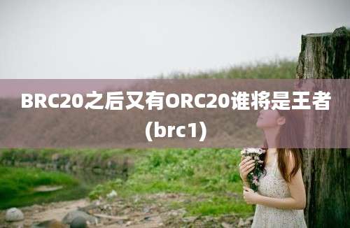 BRC20之后又有ORC20谁将是王者(brc1)