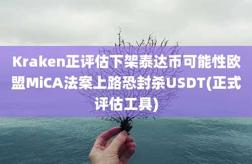 Kraken正评估下架泰达币可能性欧盟MiCA法案上路恐封杀USDT(正式评估工具)