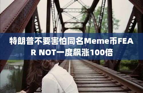 特朗普不要害怕同名Meme币FEAR NOT一度飙涨100倍