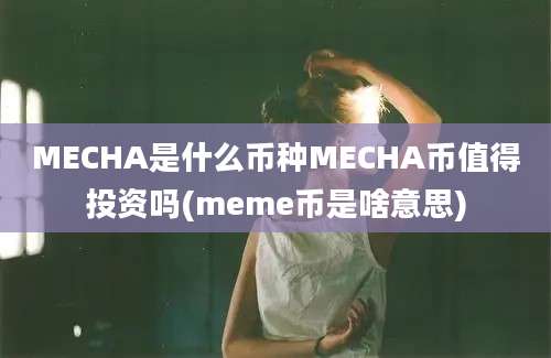 MECHA是什么币种MECHA币值得投资吗(meme币是啥意思)