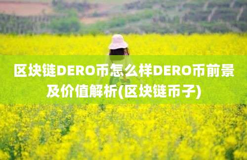 区块链DERO币怎么样DERO币前景及价值解析(区块链币子)