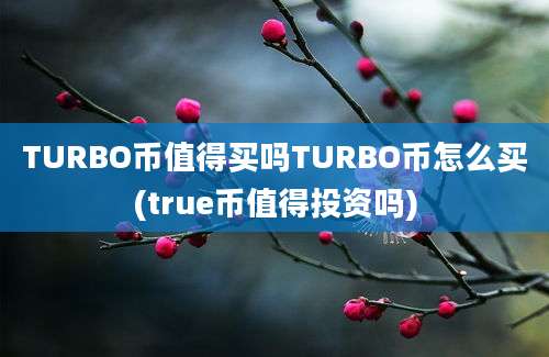 TURBO币值得买吗TURBO币怎么买(true币值得投资吗)