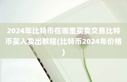 2024年比特币在哪里买卖交易比特币买入卖出教程(比特币2024年价格)