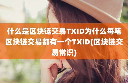 什么是区块链交易TXID为什么每笔区块链交易都有一个TXID(区块链交易常识)