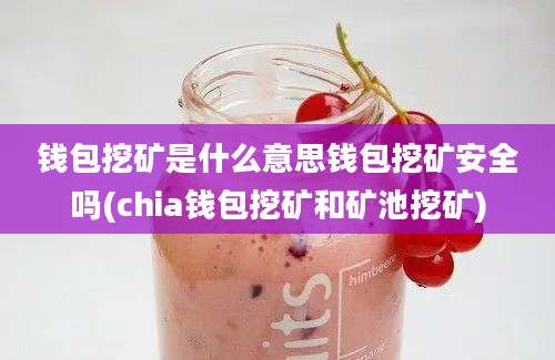 钱包挖矿是什么意思钱包挖矿安全吗(chia钱包挖矿和矿池挖矿)