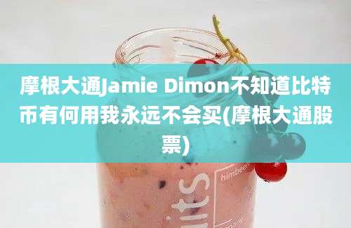 摩根大通Jamie Dimon不知道比特币有何用我永远不会买(摩根大通股票)