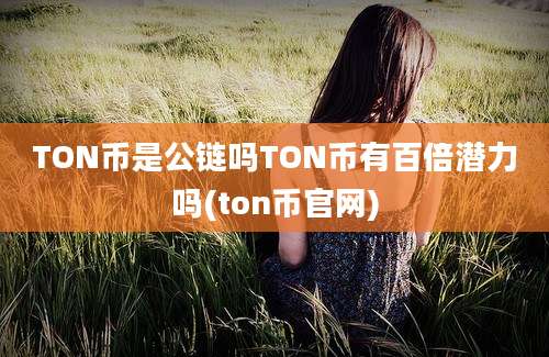 TON币是公链吗TON币有百倍潜力吗(ton币官网)