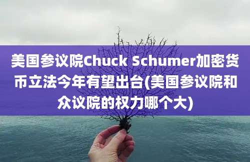 美国参议院Chuck Schumer加密货币立法今年有望出台(美国参议院和众议院的权力哪个大)