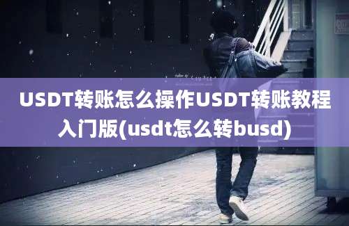 USDT转账怎么操作USDT转账教程入门版(usdt怎么转busd)