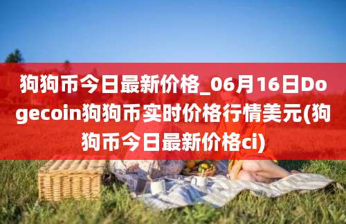 狗狗币今日最新价格_06月16日Dogecoin狗狗币实时价格行情美元(狗狗币今日最新价格ci)