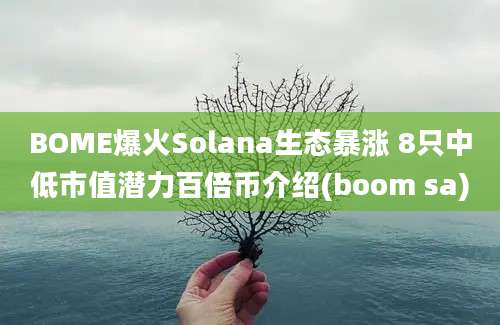 BOME爆火Solana生态暴涨 8只中低市值潜力百倍币介绍(boom sa)