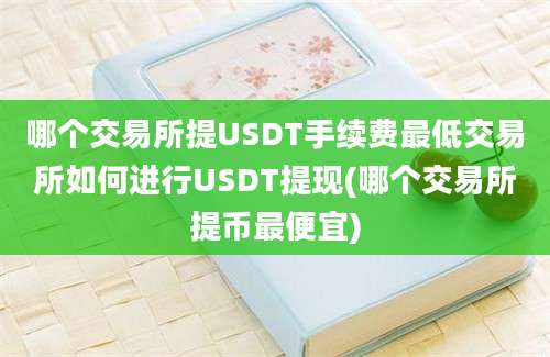 哪个交易所提USDT手续费最低交易所如何进行USDT提现(哪个交易所提币最便宜)