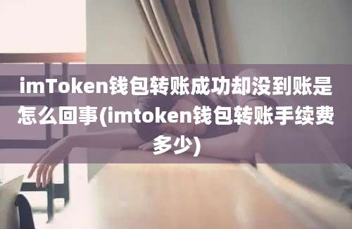 imToken钱包转账成功却没到账是怎么回事(imtoken钱包转账手续费多少)