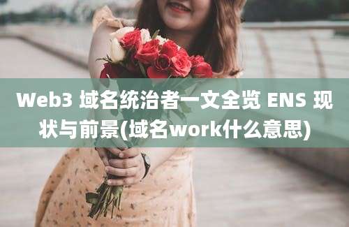 Web3 域名统治者一文全览 ENS 现状与前景(域名work什么意思)