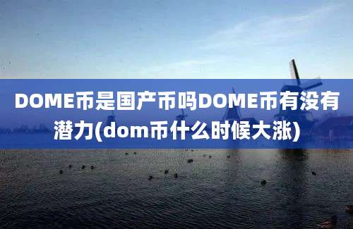 DOME币是国产币吗DOME币有没有潜力(dom币什么时候大涨)