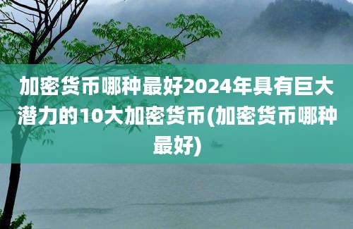 加密货币哪种最好2024年具有巨大潜力的10大加密货币(加密货币哪种最好)