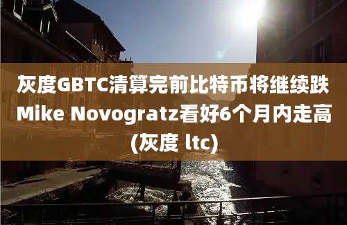 灰度GBTC清算完前比特币将继续跌Mike Novogratz看好6个月内走高(灰度 ltc)