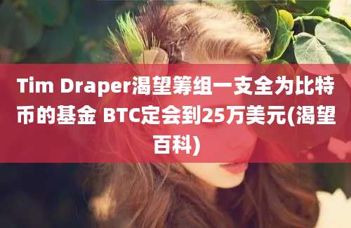 Tim Draper渴望筹组一支全为比特币的基金 BTC定会到25万美元(渴望百科)