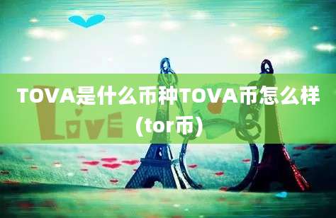 TOVA是什么币种TOVA币怎么样(tor币)