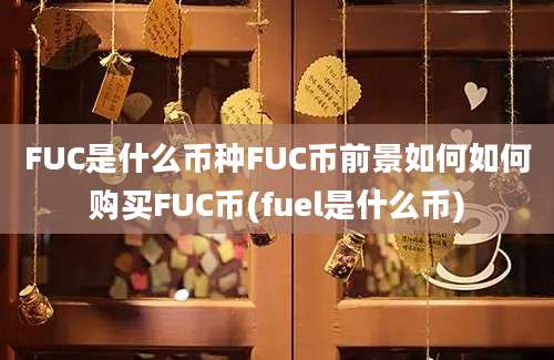 FUC是什么币种FUC币前景如何如何购买FUC币(fuel是什么币)