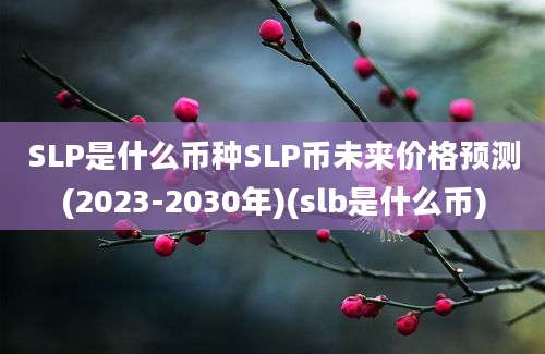 SLP是什么币种SLP币未来价格预测(2023-2030年)(slb是什么币)