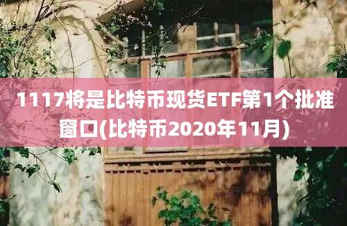 1117将是比特币现货ETF第1个批准窗口(比特币2020年11月)