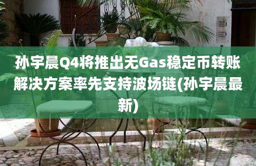 孙宇晨Q4将推出无Gas稳定币转账解决方案率先支持波场链(孙宇晨最新)