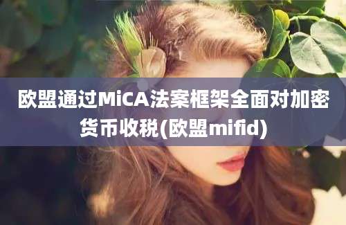 欧盟通过MiCA法案框架全面对加密货币收税(欧盟mifid)