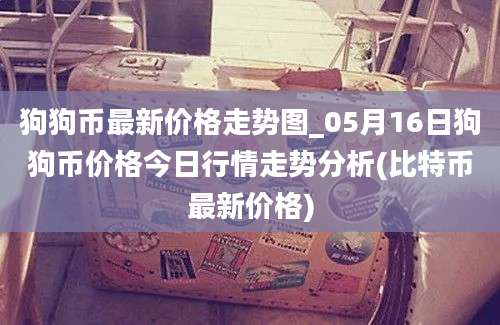 狗狗币最新价格走势图_05月16日狗狗币价格今日行情走势分析(比特币最新价格)