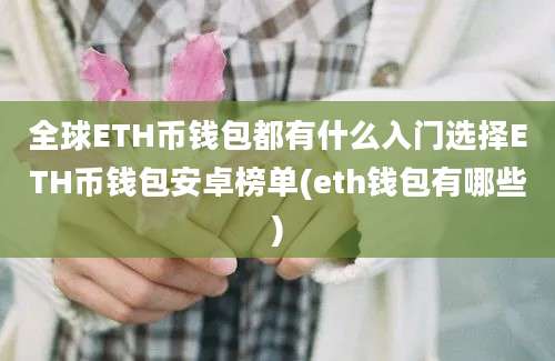 全球ETH币钱包都有什么入门选择ETH币钱包安卓榜单(eth钱包有哪些)