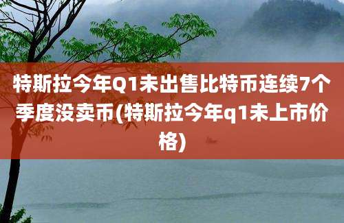 特斯拉今年Q1未出售比特币连续7个季度没卖币(特斯拉今年q1未上市价格)