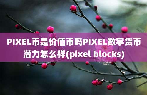 PIXEL币是价值币吗PIXEL数字货币潜力怎么样(pixel blocks)