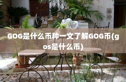 GOG是什么币种一文了解GOG币(gos是什么币)