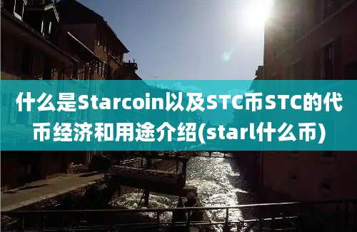 什么是Starcoin以及STC币STC的代币经济和用途介绍(starl什么币)