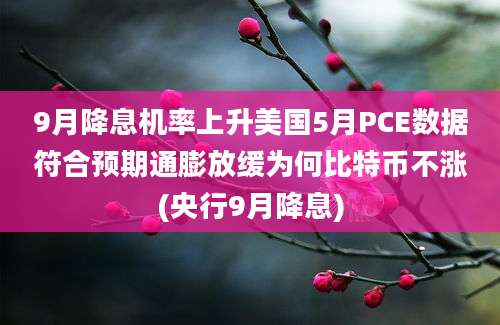 9月降息机率上升美国5月PCE数据符合预期通膨放缓为何比特币不涨(央行9月降息)