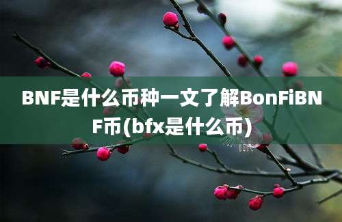 BNF是什么币种一文了解BonFiBNF币(bfx是什么币)