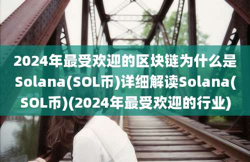 2024年最受欢迎的区块链为什么是Solana(SOL币)详细解读Solana(SOL币)(2024年最受欢迎的行业)