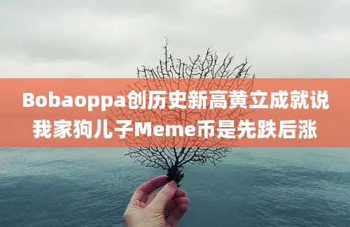 Bobaoppa创历史新高黄立成就说我家狗儿子Meme币是先跌后涨