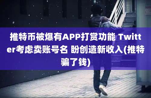 推特币被爆有APP打赏功能 Twitter考虑卖账号名 盼创造新收入(推特骗了钱)