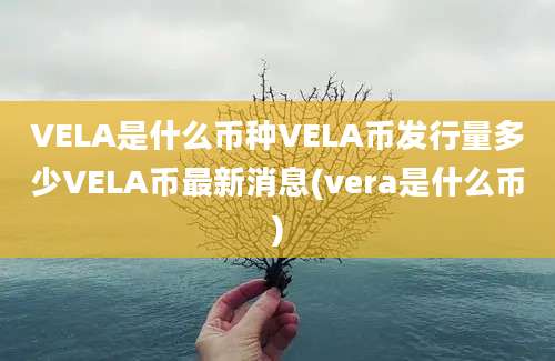 VELA是什么币种VELA币发行量多少VELA币最新消息(vera是什么币)