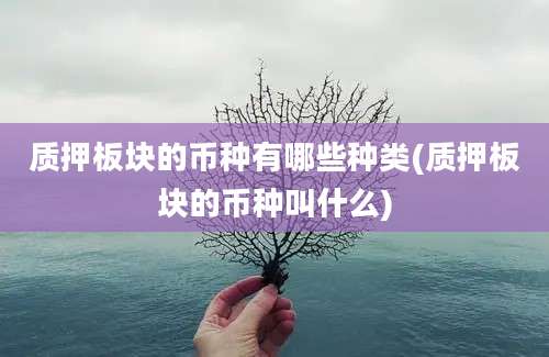 质押板块的币种有哪些种类(质押板块的币种叫什么)